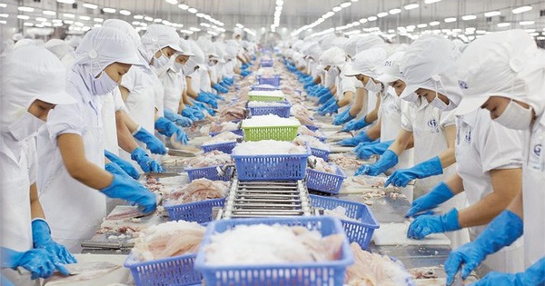 Nam Viet Seafood plant, sein Gründungskapital auf 2.666,7 Milliarden VND zu verdoppeln und erwartet, dass der Gewinn im zweiten Quartal sprunghaft ansteigen wird.