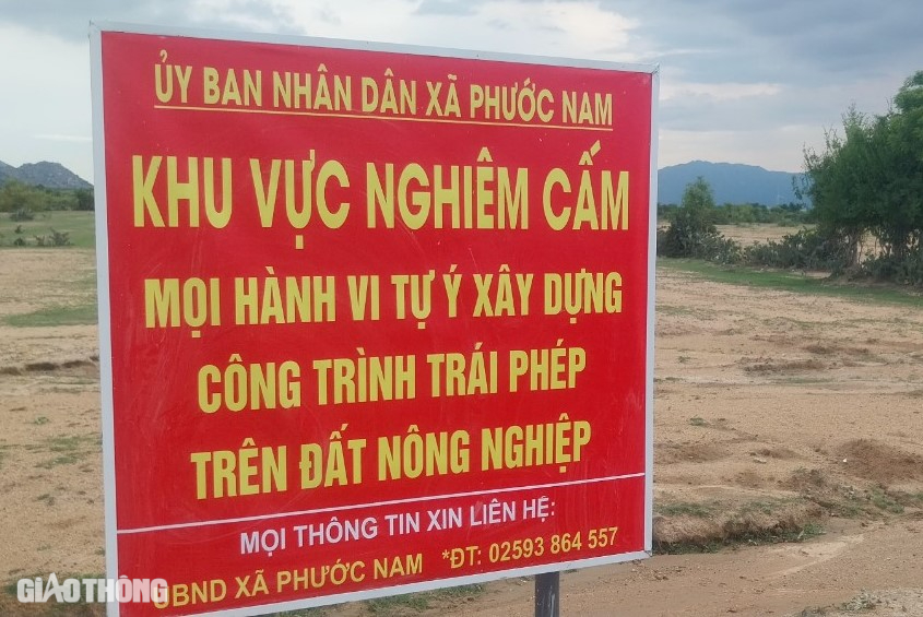 Đường nối QL1 ra trục đường ven biển Ninh Thuận chạy đua về đích- Ảnh 3.