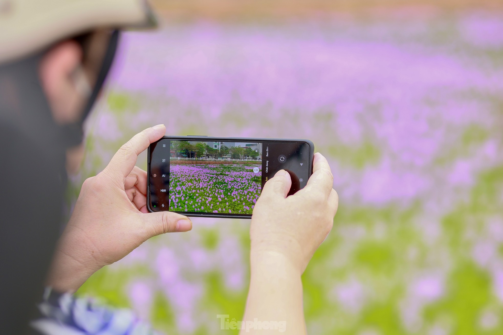 Hanoi youth enjoy checking in at the purple water hyacinth field photo 13