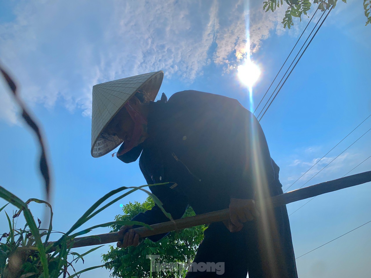 Los agricultores luchan por ganarse la vida bajo el calor del sol foto 5