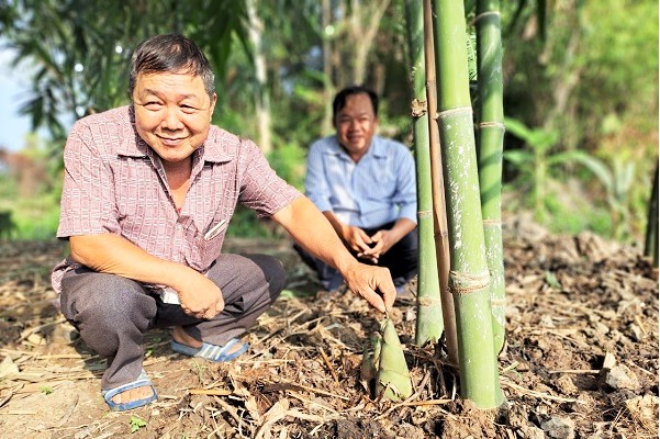 Trồng loại cây 