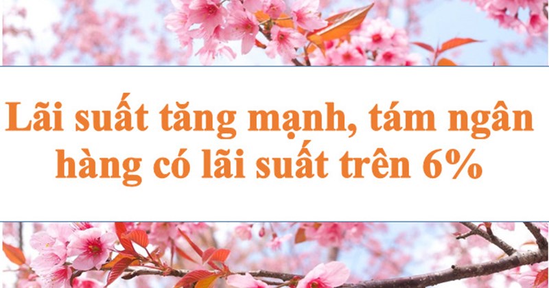 Tăng mạnh, 8 ngân hàng có lãi suất trên 6%
