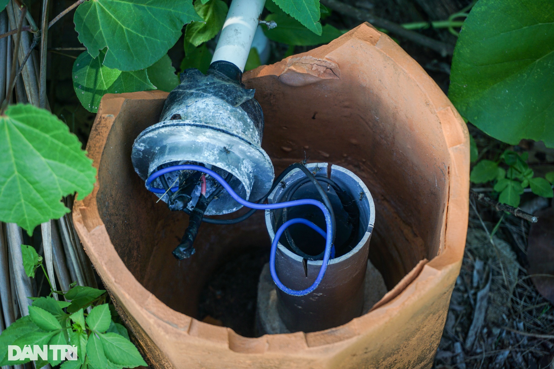 Cỏ phủ kín khu nghỉ dưỡng 12 triệu USD ven biển Đà Nẵng - 9