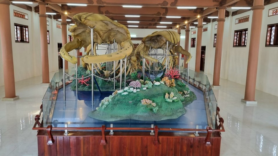 Tan Tomb relic (Dong An Vinh village, Ly Son district, Quang Ngai) is home to two of the largest whale skeletons (locals call them Whales) in Vietnam, which have been completely restored by experts. These two skeletons are named after Dong Dinh Dai Vuong (left) and Duc Ngu Hai Vi Ton Than (right).