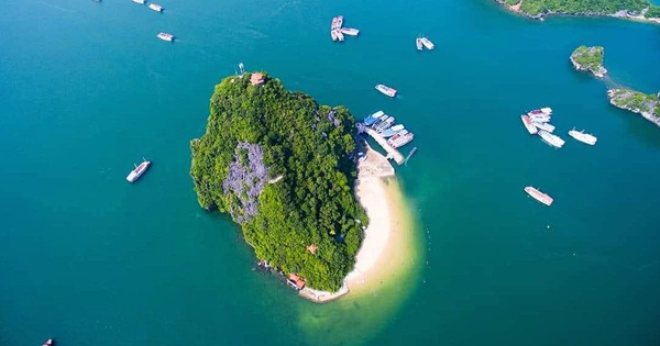 Verifying the case of a guest being abandoned in Ha Long Bay