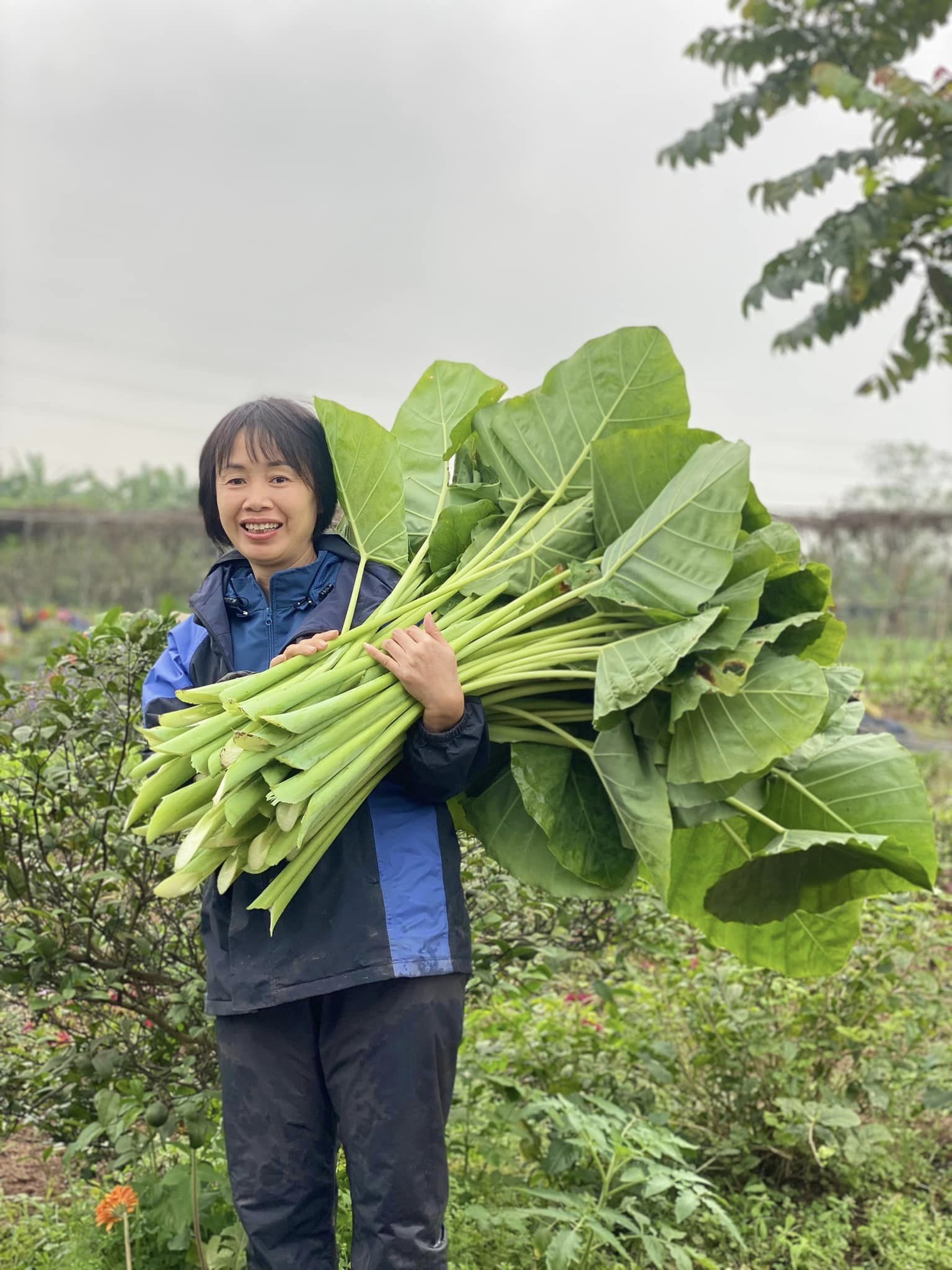 Vợ chồng tiến sỹ về quê làm nông dân, bán 5 tấn nông sản/tháng - 12