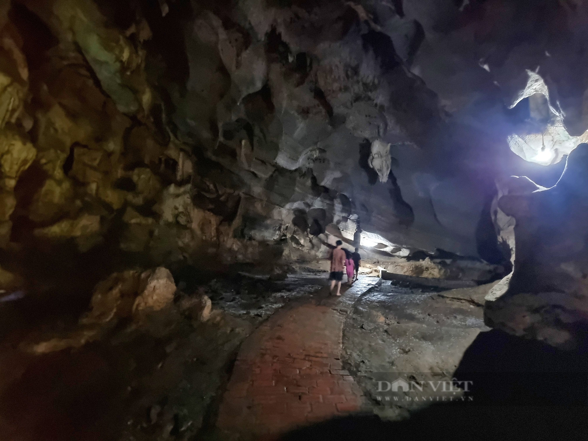 Một cây cổ thụ kỳ bí mọc trên khối đá khổng lồ cạnh chùa Thượng ở Ninh Bình- Ảnh 1.