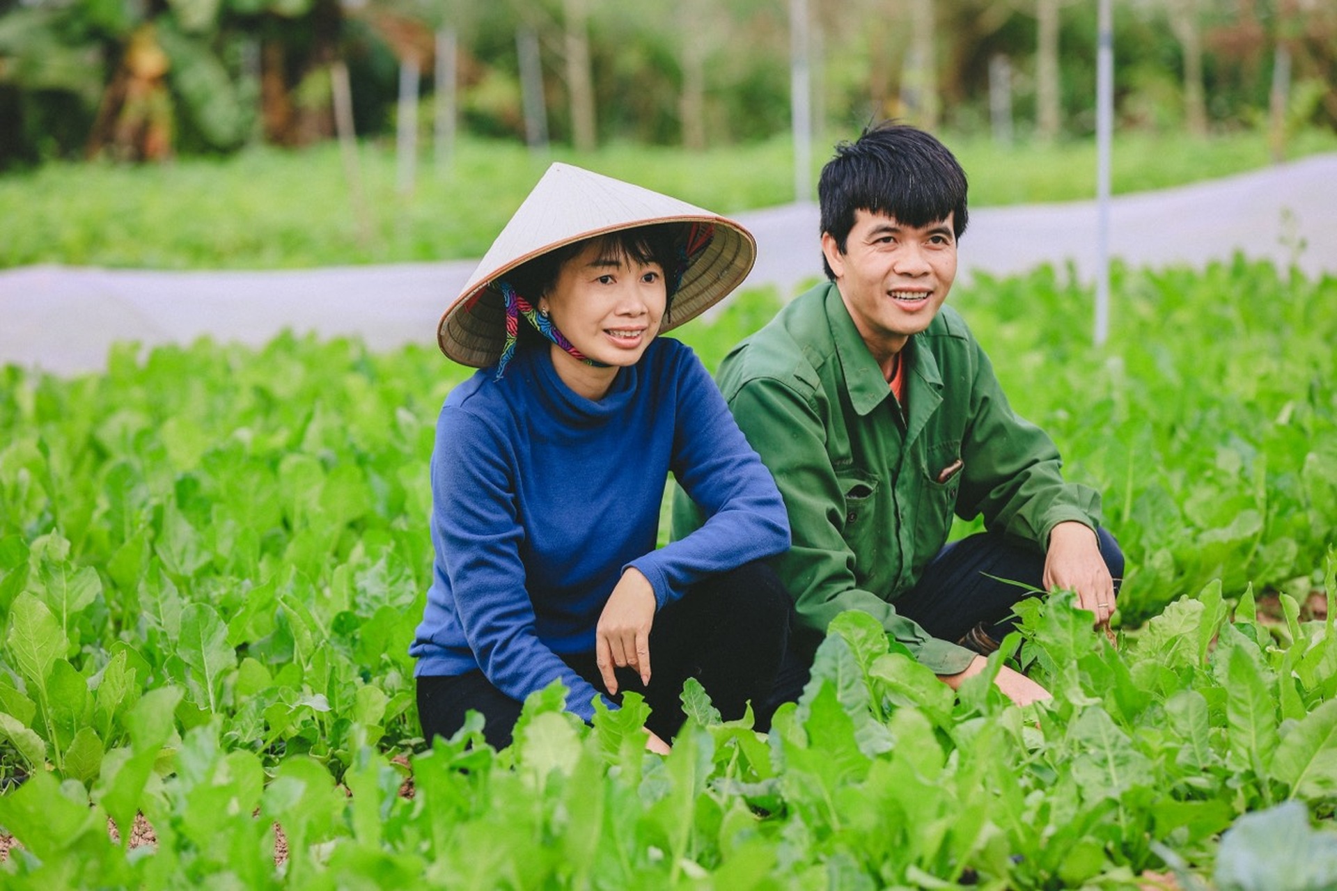 Vợ chồng tiến sỹ về quê làm nông dân, bán 5 tấn nông sản/tháng - 7