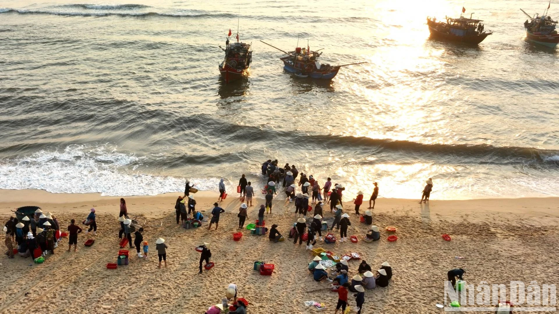 [Foto] Amanecer en el mercado de pescado de Nhan Trach, foto 2