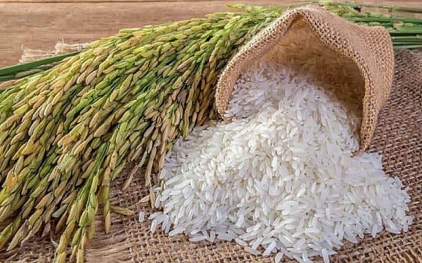 Giá gạo, giá lúa đều giảm