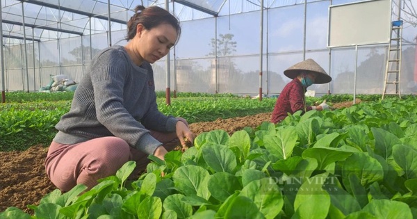 Thai Nguyen stellt über 30 Milliarden für die Umsetzung von Projekten zur Armutsbekämpfung und die Unterstützung der Produktionsentwicklung bereit.