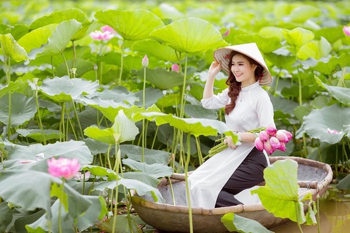 Pendant la saison des lotus à Hanoi, de nombreux photographes « récoltent » des millions de dongs chaque jour. Photo prise à l'étang aux lotus du lac de l'Ouest Photo : Nhat Le