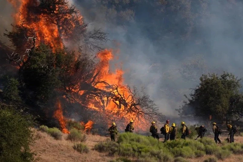 Los bomberos intentan controlar un incendio que se extiende en California, EE.UU., el 15 de junio. Foto: Marcio José Sánchez/AP