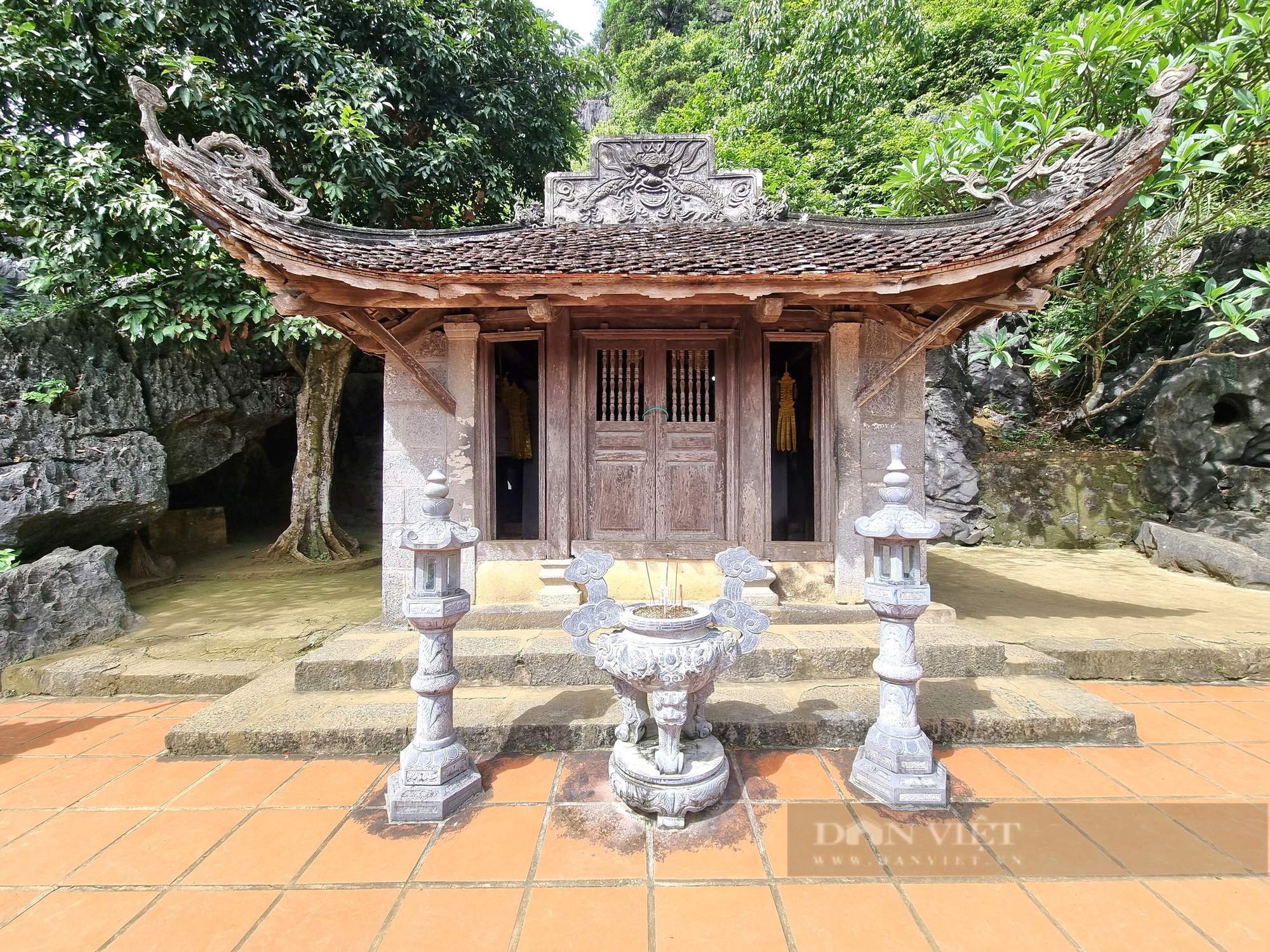 Một cây cổ thụ kỳ bí mọc trên khối đá khổng lồ cạnh chùa Thượng ở Ninh Bình- Ảnh 3.