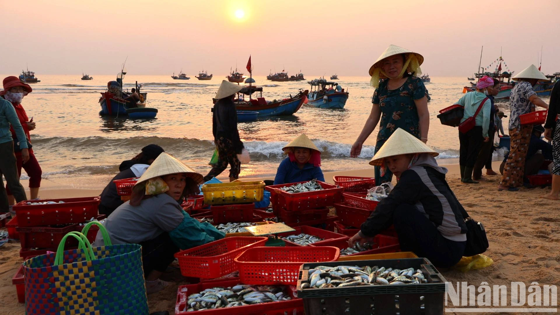 [Foto] Amanecer en el mercado de pescado de Nhan Trach, foto 3