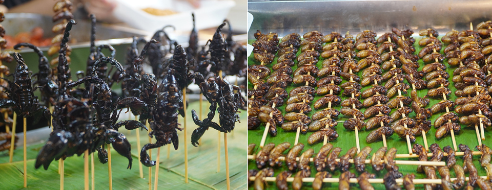 Viele einzigartige Gerichte von Skorpionen und Insekten.