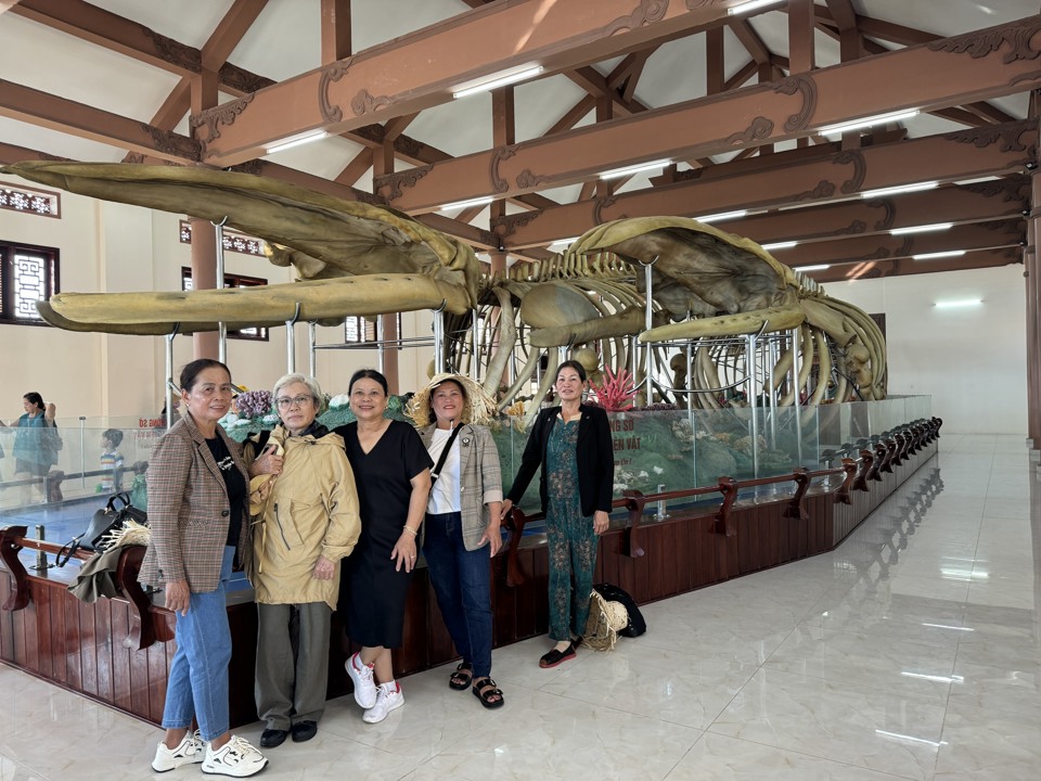 From 2023 to present, more than 150,000 visitors have come to Tan mausoleum to see the two whale skeletons.