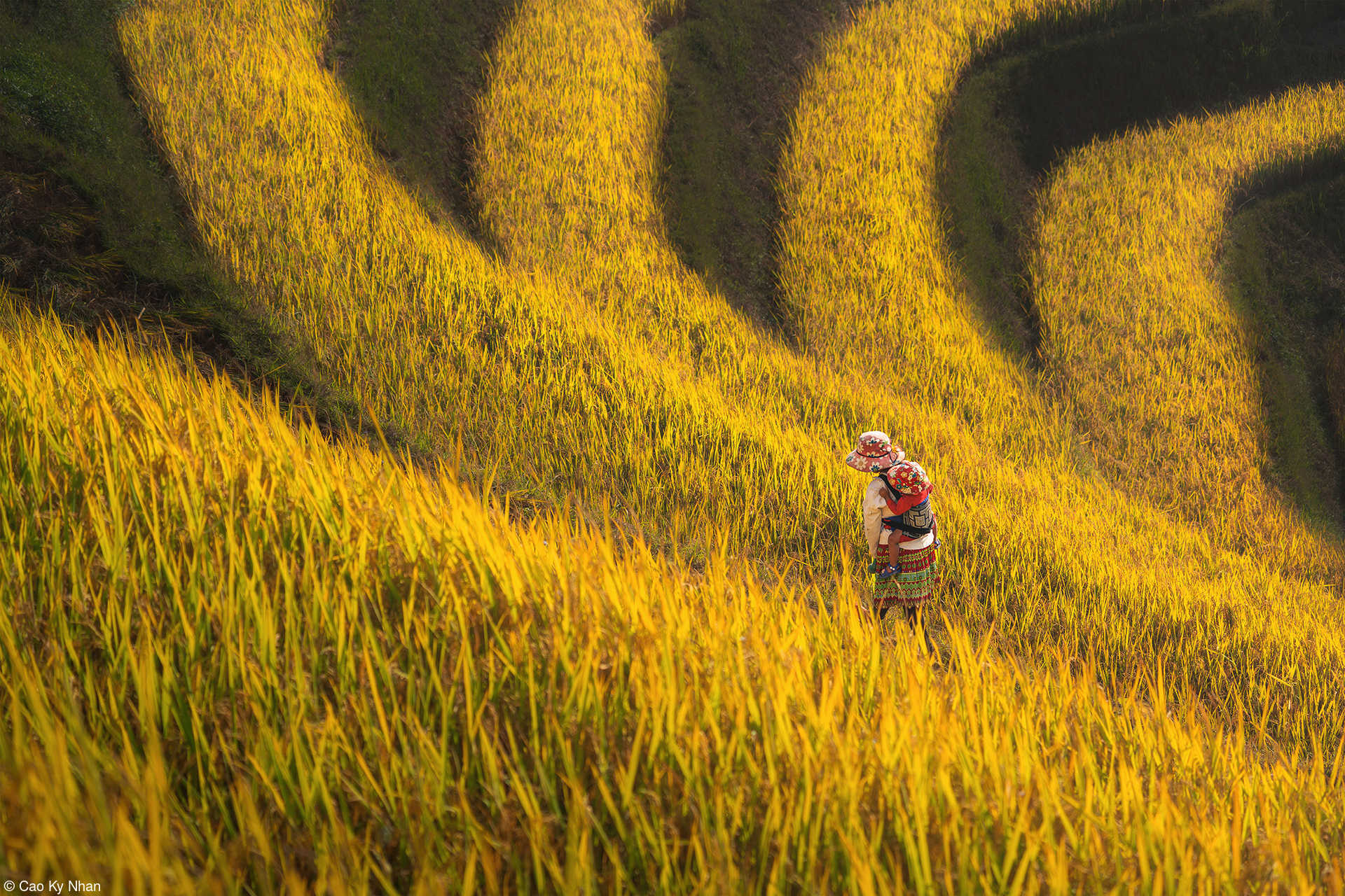 Chàng trai Việt giành giải thưởng cuộc thi ảnh quốc tế nhờ tài 'săn' cừu- Ảnh 2.