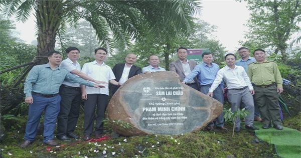 The first Lai Chau Ginseng Garden is certified to meet organic standards.