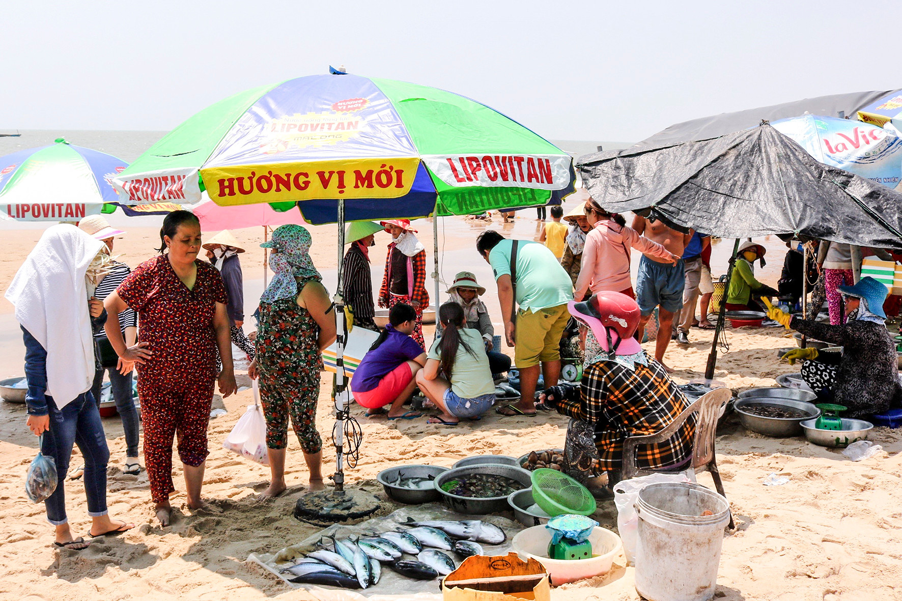 Ở một nơi của Bình Thuận thấy cắm ô rợp trời, ngỡ bãi biển tấp nập, hóa ra là chợ làng, bán cá theo chậu- Ảnh 3.