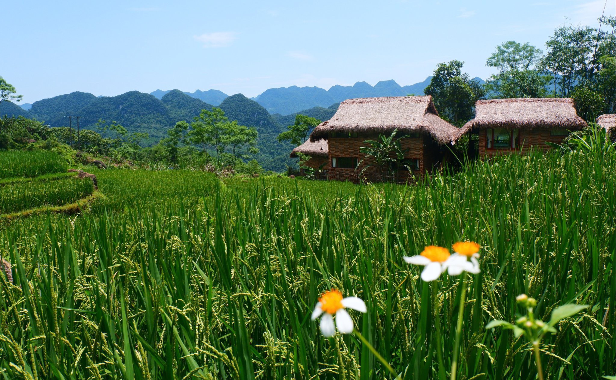 Pu Luong Jungle Lodge อัญมณีสีเขียวที่ซ่อนตัวอยู่ในภูเขาและป่าไม้ของ Thanh Hoa