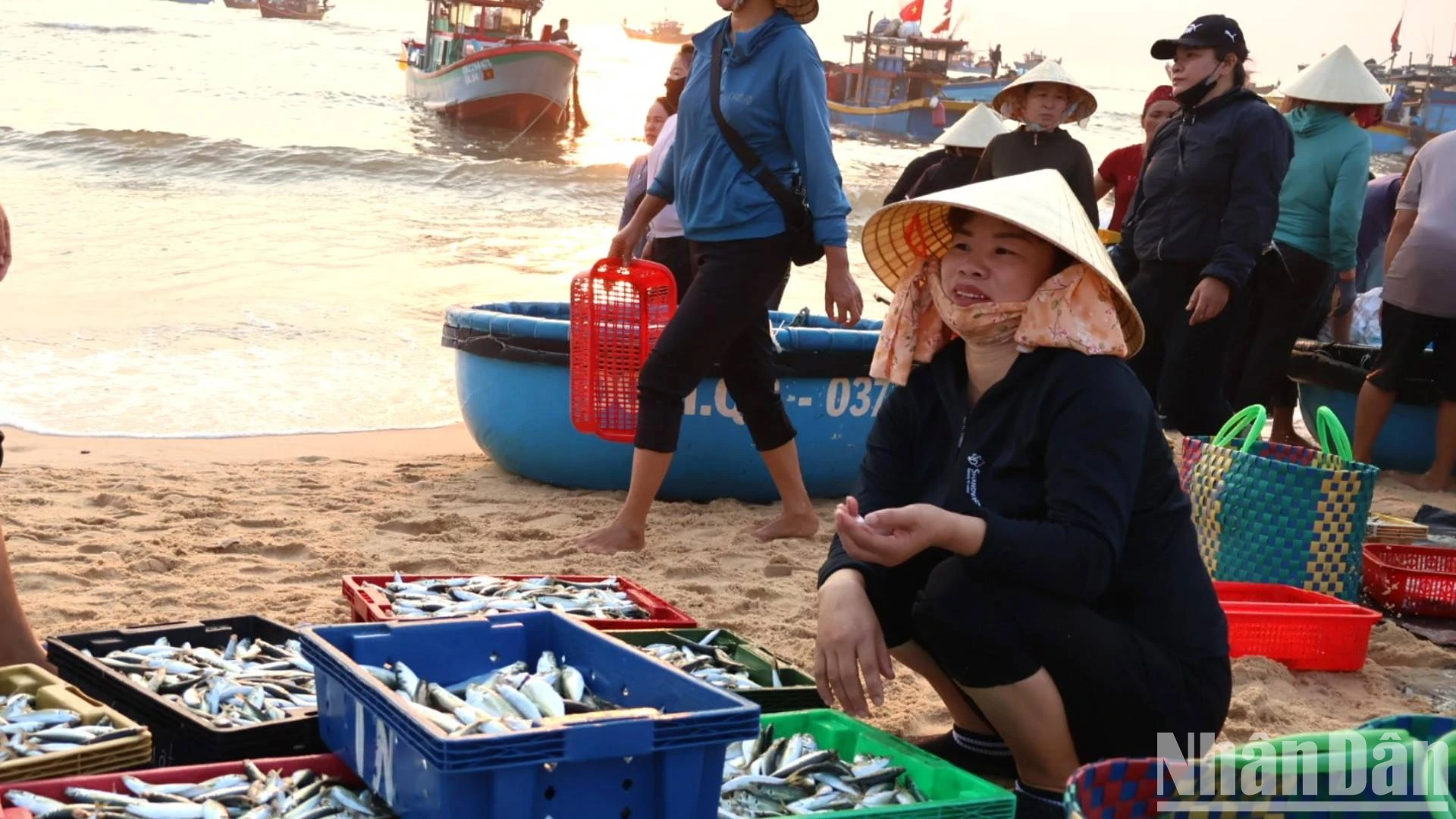 [Foto] Amanecer en el mercado de pescado de Nhan Trach, foto 5