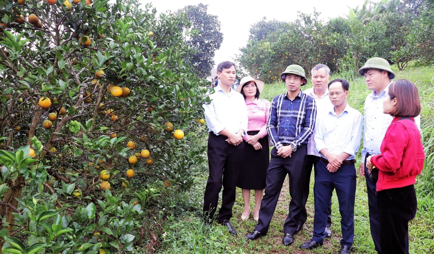 Hiệu quả từ Chương trình OCOP trên địa bàn tỉnh Bắc Ninh