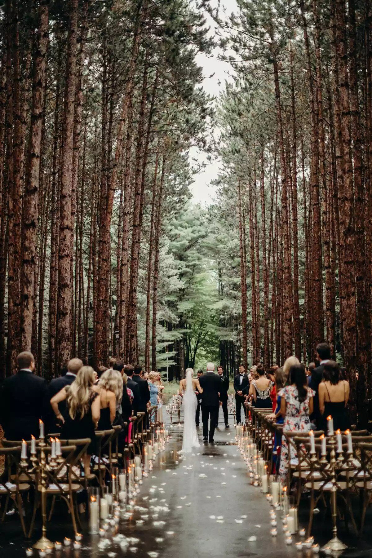 hình ảnh đẹp về đám cưới trong rừng