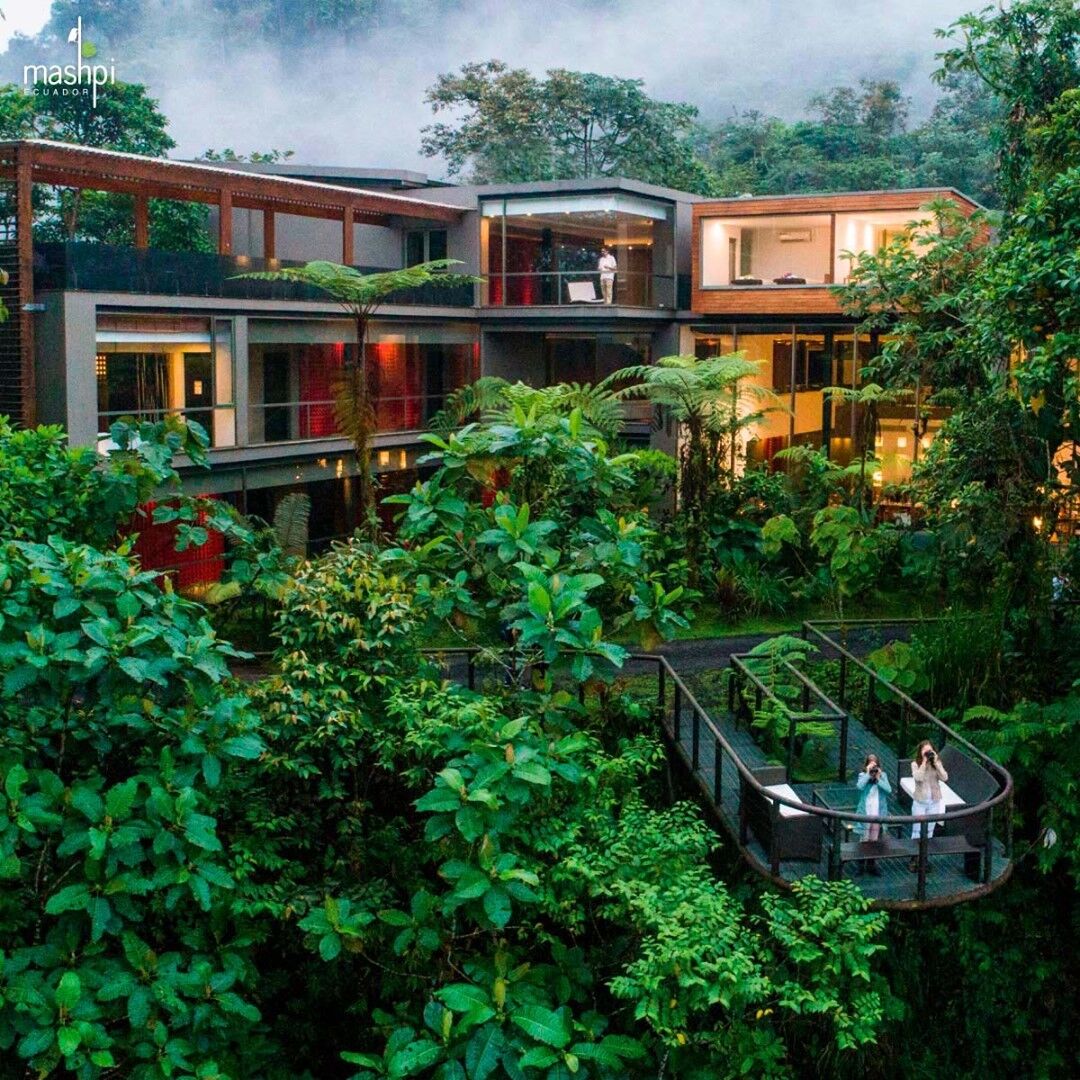 Mashpi Lodge, Ecuador thân thiện với môi trường
