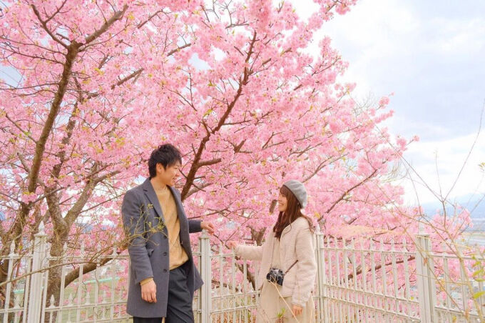 Khám phá lễ hội hoa anh đào Hanami tại Nhật Bản - 6