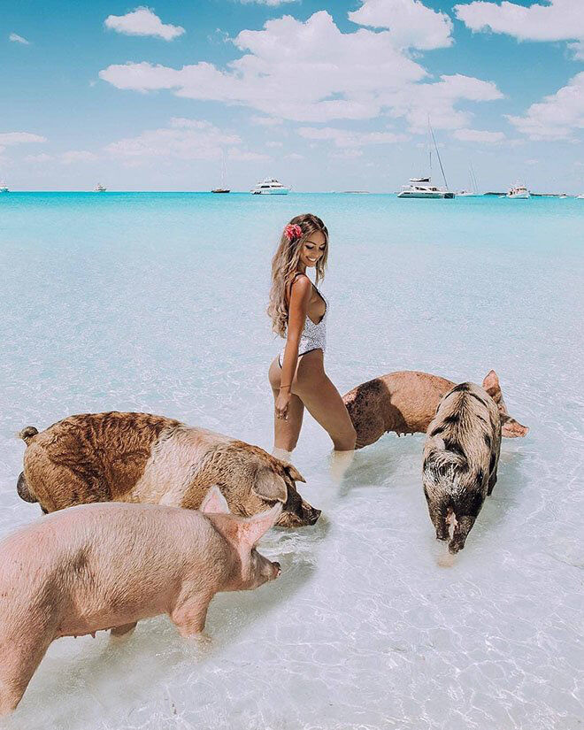 Thiên đường “đảo lợn” có 1-0-2 ở Bahamas-4