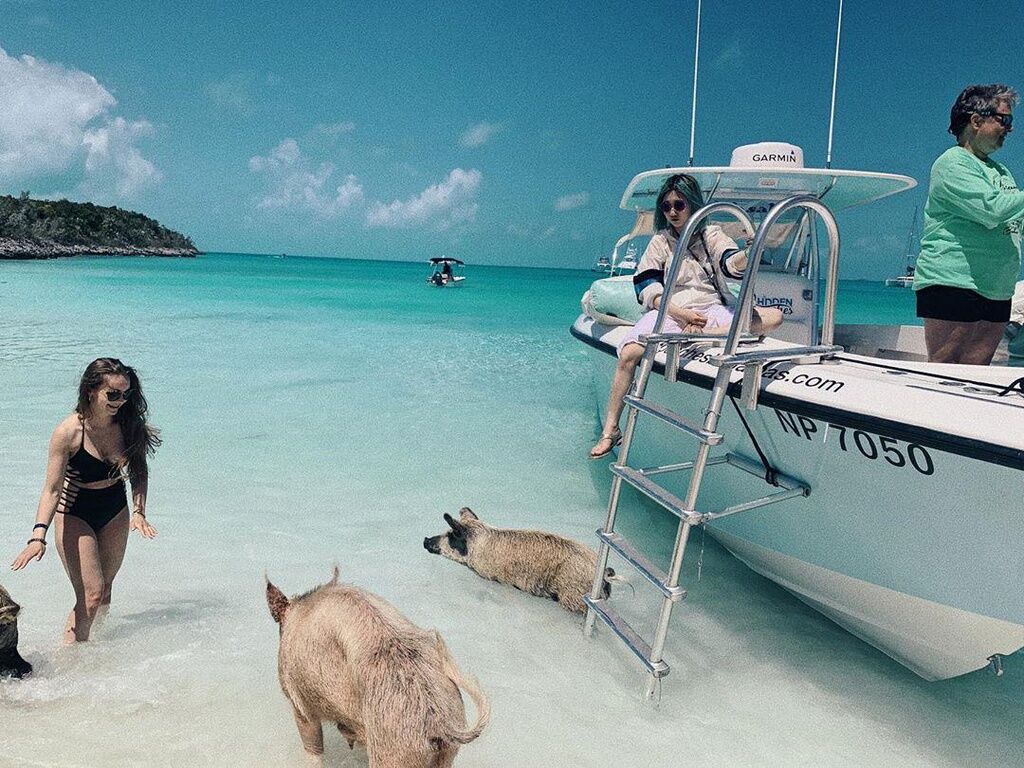 Thiên đường “đảo lợn” có 1-0-2 ở Bahamas-10