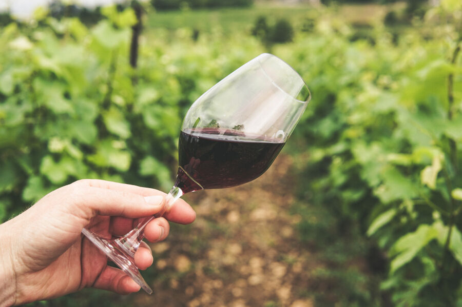 Bạn đã biết thưởng thức rượu vang như một người Pháp?