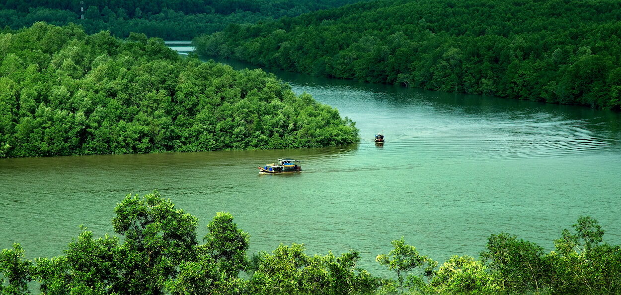 Khu Dự trữ sinh quyển rừng ngập mặn Cần Giờ - “Lá phổi xanh” của TP.HCM - 1