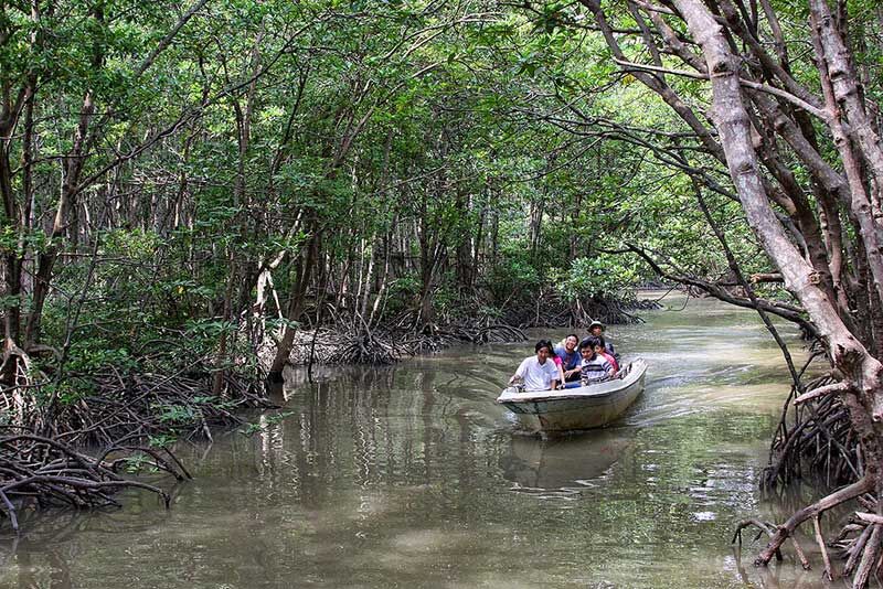 Khu Dự trữ sinh quyển rừng ngập mặn Cần Giờ - “Lá phổi xanh” của TP.HCM - 5