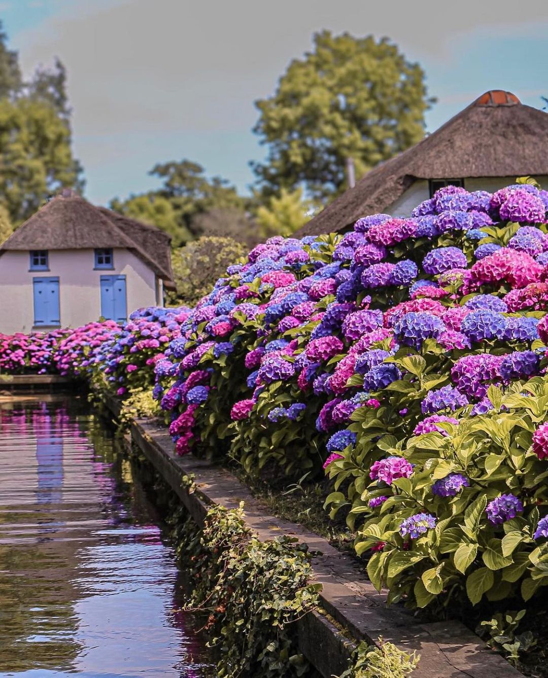 Giethoorn - ngôi làng cổ tích đẹp nhất thế giới ở Hà Lan-6