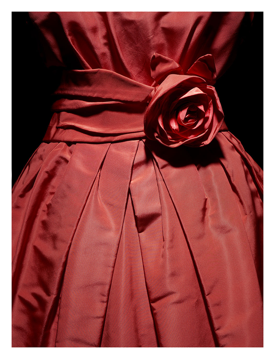 Dior and Roses - Triển lãm hoa hồng trong thế giới thời trang Dior-5