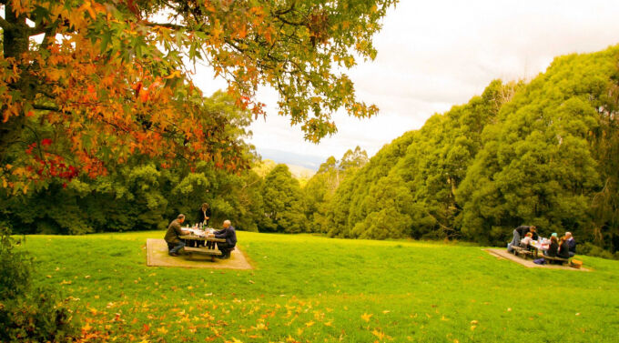 Những địa điểm lý tưởng để tận hưởng cảnh sắc mùa thu tuyệt đẹp ở Melbourne-6