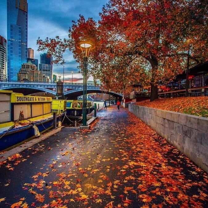 Những địa điểm lý tưởng để tận hưởng cảnh sắc mùa thu tuyệt đẹp ở Melbourne-10