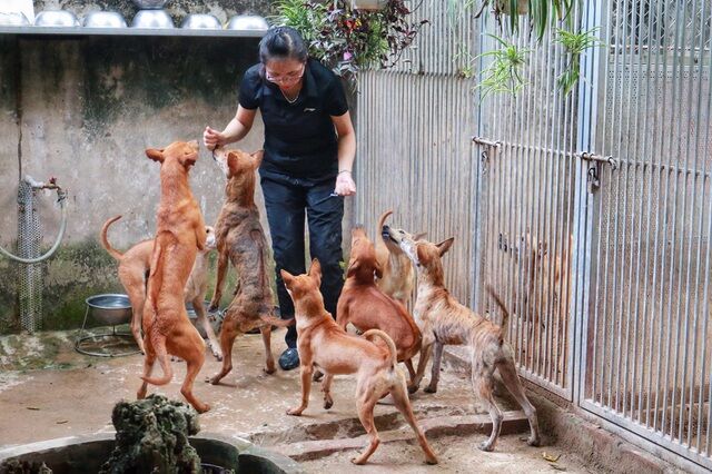Choáng ngợp những bộ sưu tập thú cưng siêu đắt đỏ của đại gia Việt - 6