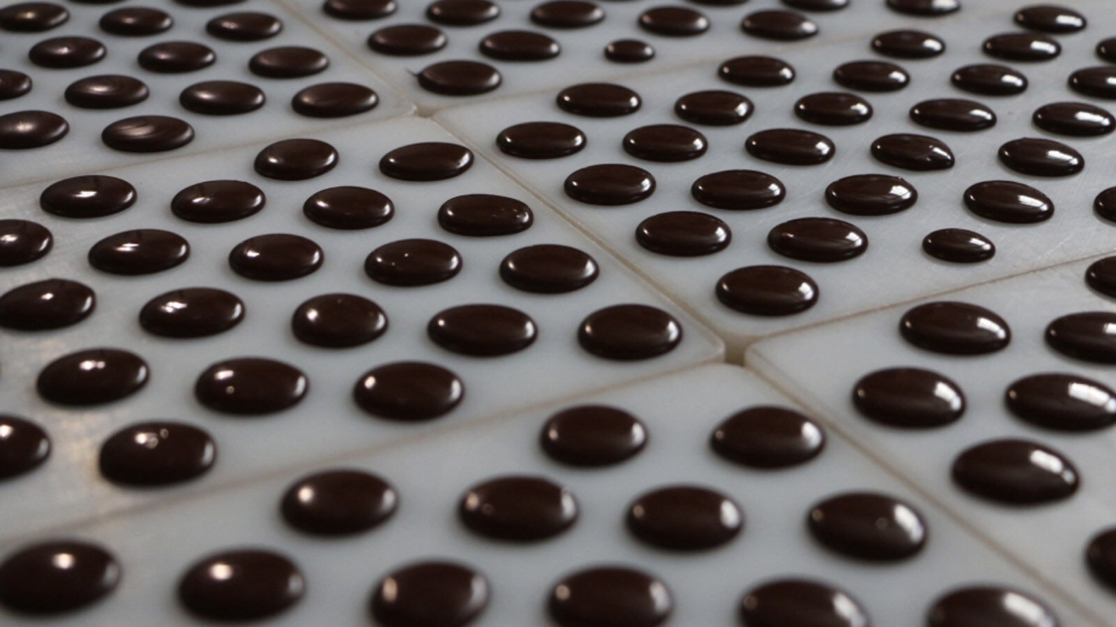 To’ak Chocolate - Loại socola đắt đỏ nhất hành tinh-9