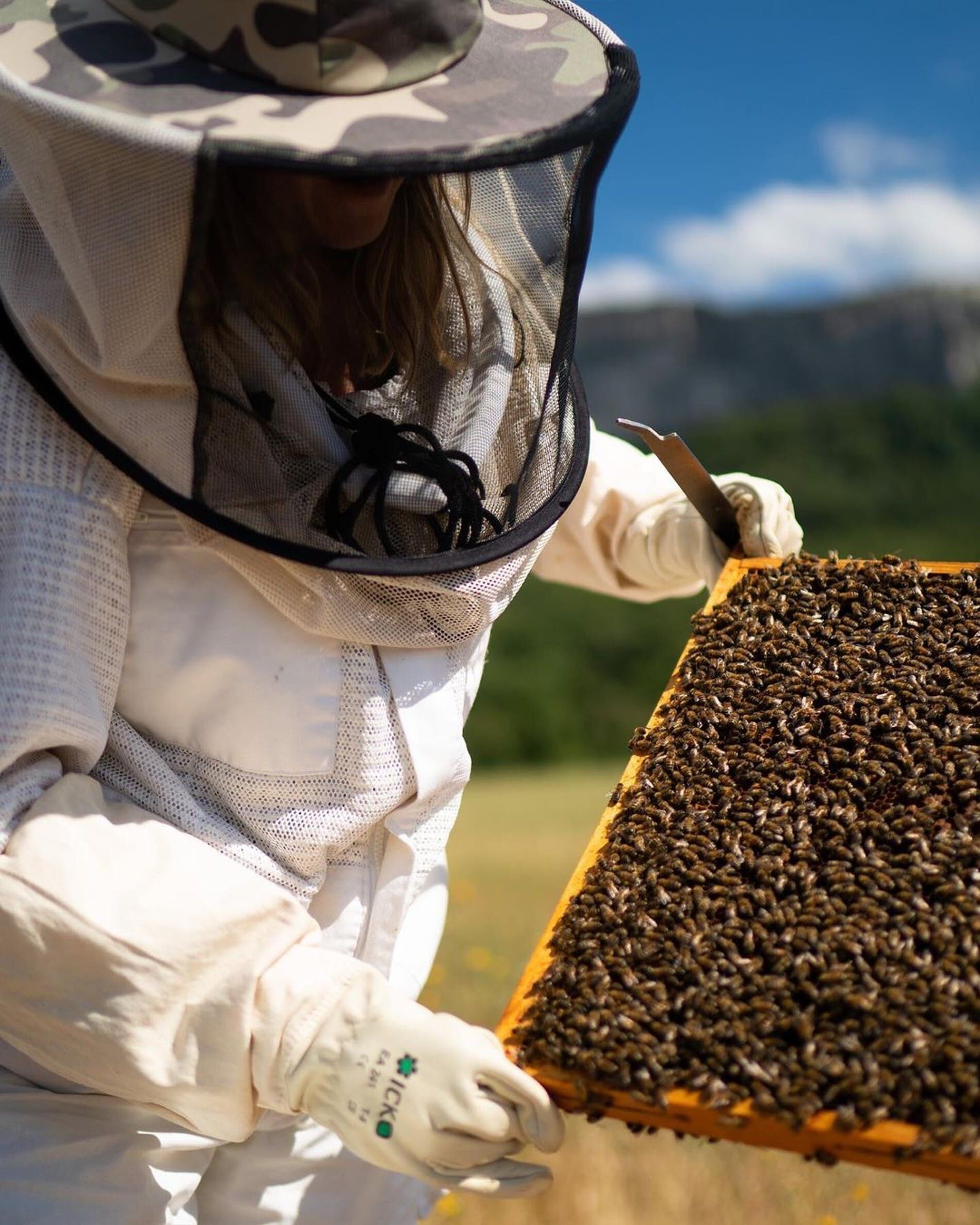 Women for Bees - Sự góp mặt của Angelina Jolie, Guerlain, Unesco và OFA-2