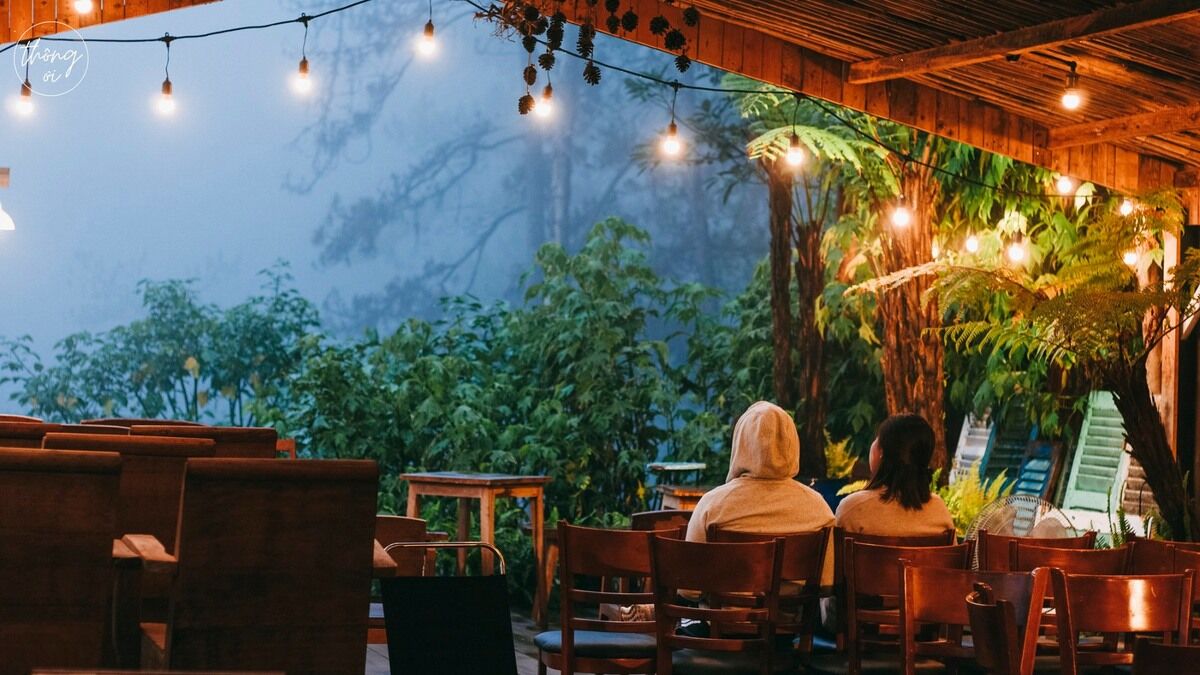 4 quán cà phê ẩn trong rừng Đà Lạt - 4