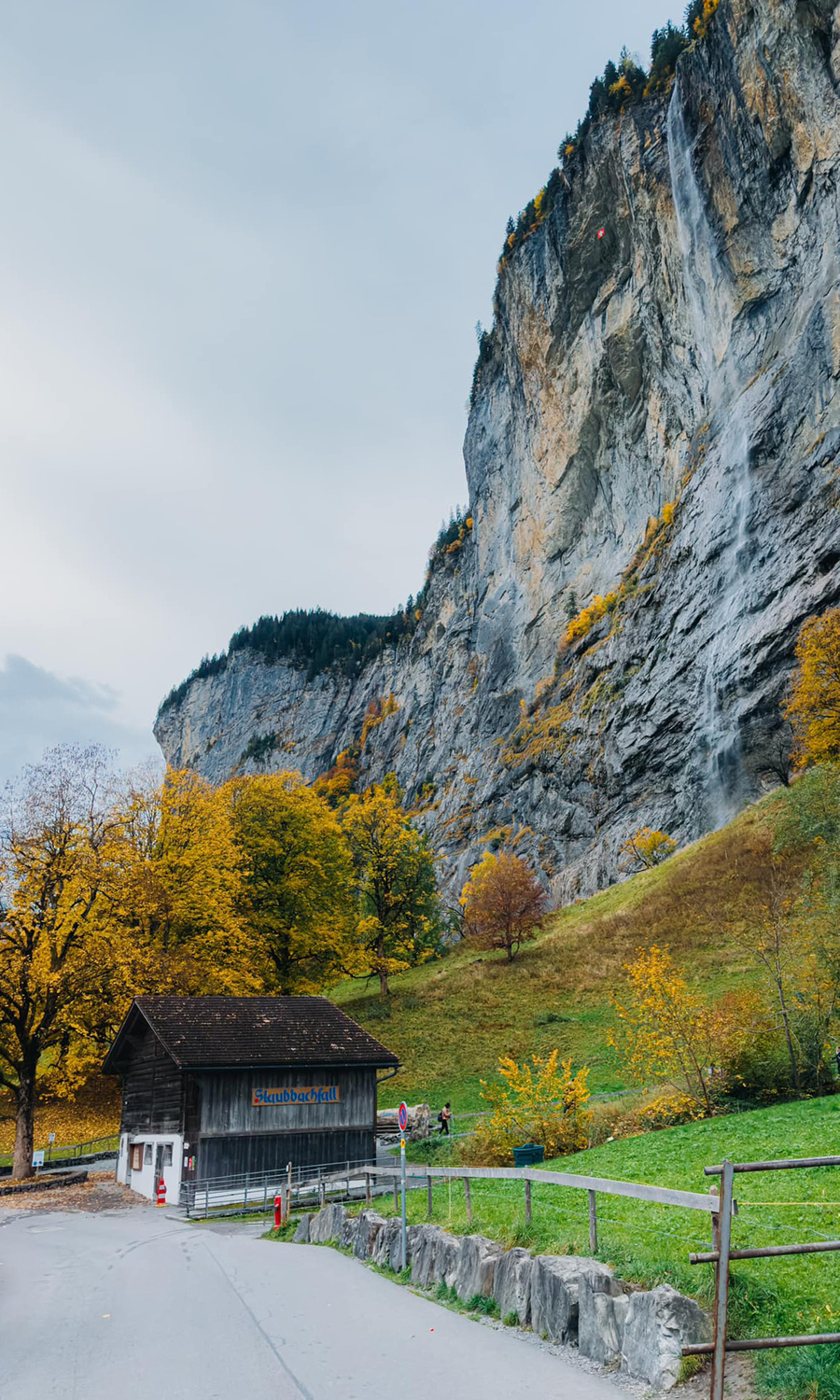 Lần đầu ngắm lá vàng ở miền trung Thụy Sĩ