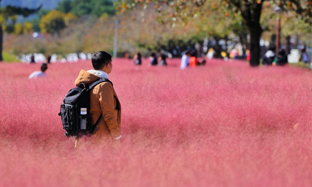 'Mùa thu hồng' ở cố đô Hàn Quốc