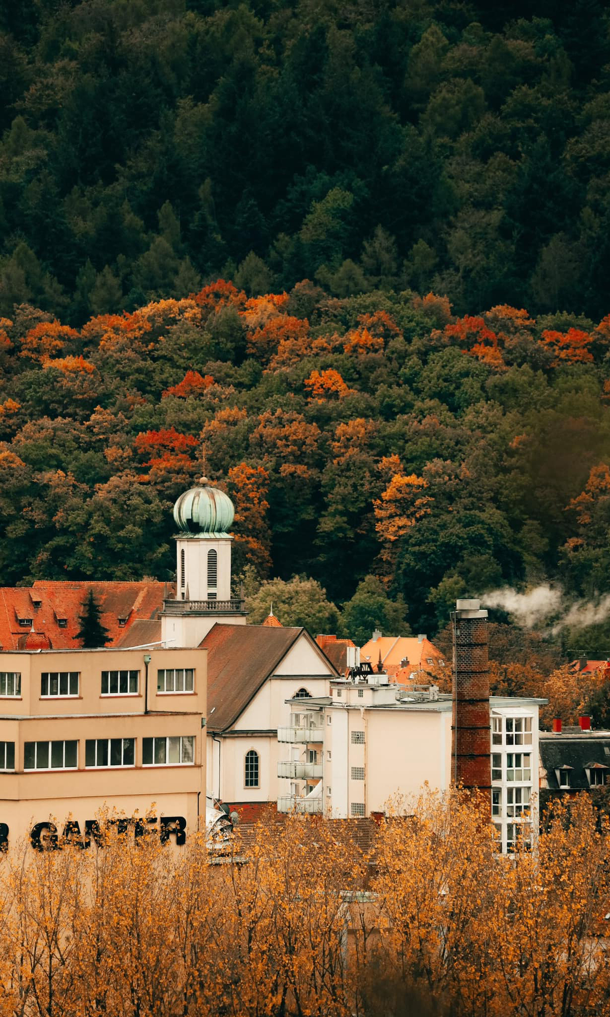 Bức tranh thiên nhiên mùa thu ở phía nam nước Đức