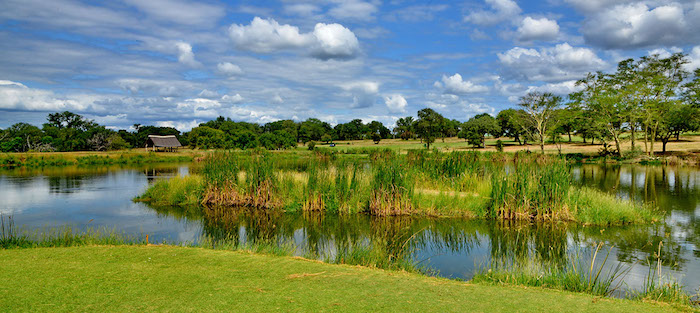 Sân golf hoang dã nhất thế giới Skukuza Golf Club