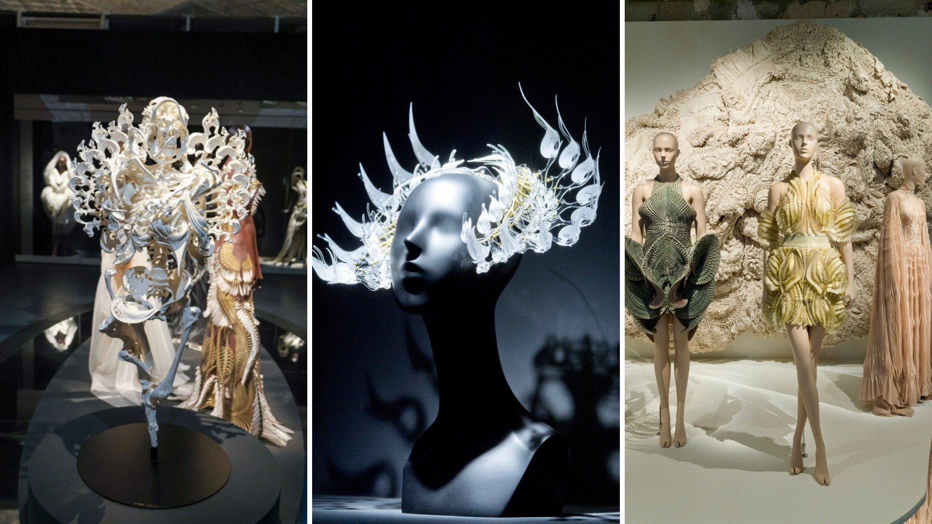 Triển lãm “Iris van Herpen: Sculpting the Senses” ở bảo tàng Pháp