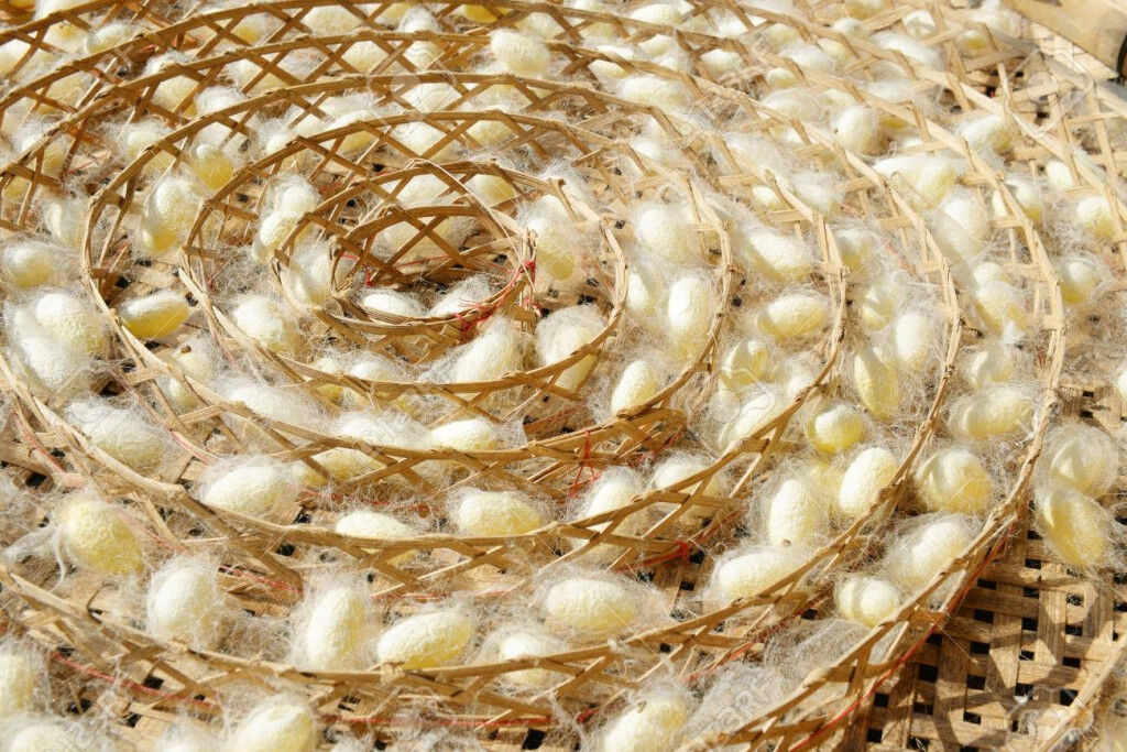 Tơ tằm tự nhiên dùng để dệt lụa.