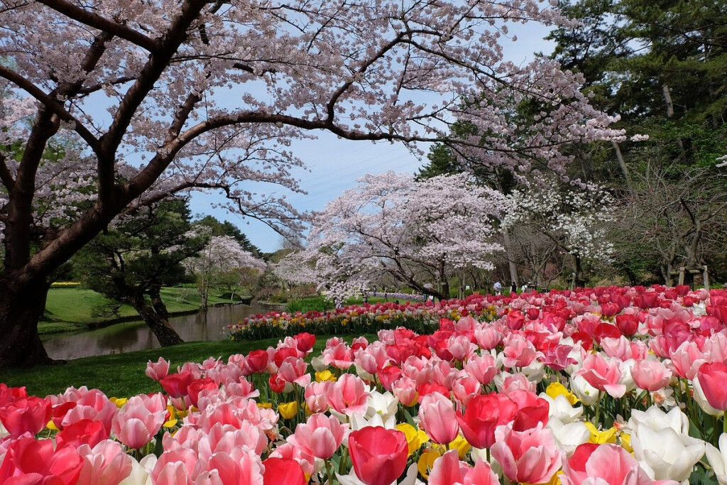 Công viên hoa Hamamatsu ivivu 1